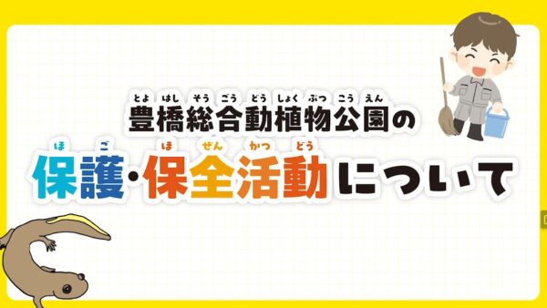 豊橋総合動植物公園の保護・保全活動について
