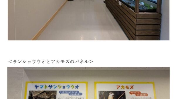 豊橋総合動植物公園の保護・保全活動報告